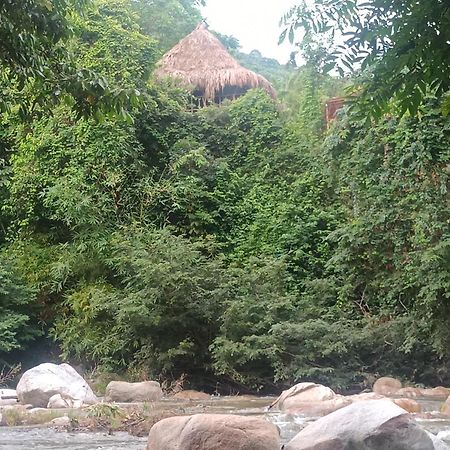 Sierra Tayrona Hostel Ель-Зайно Екстер'єр фото