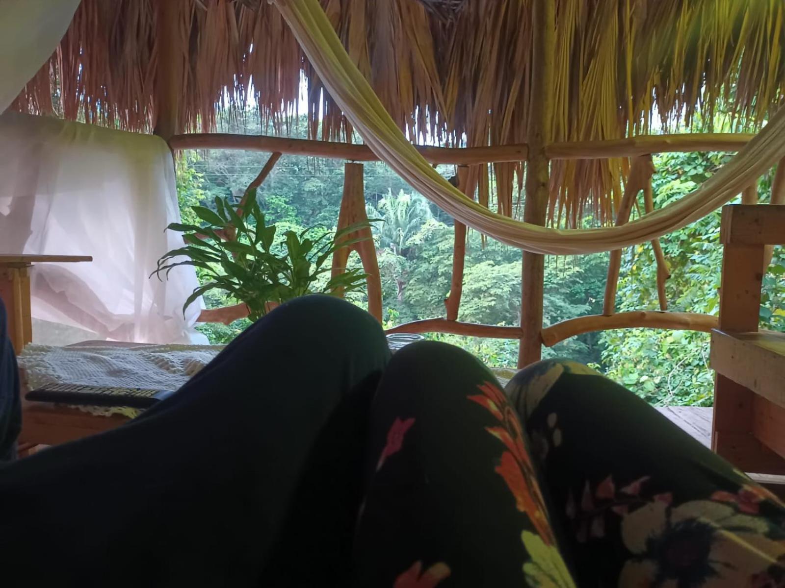 Sierra Tayrona Hostel Ель-Зайно Екстер'єр фото