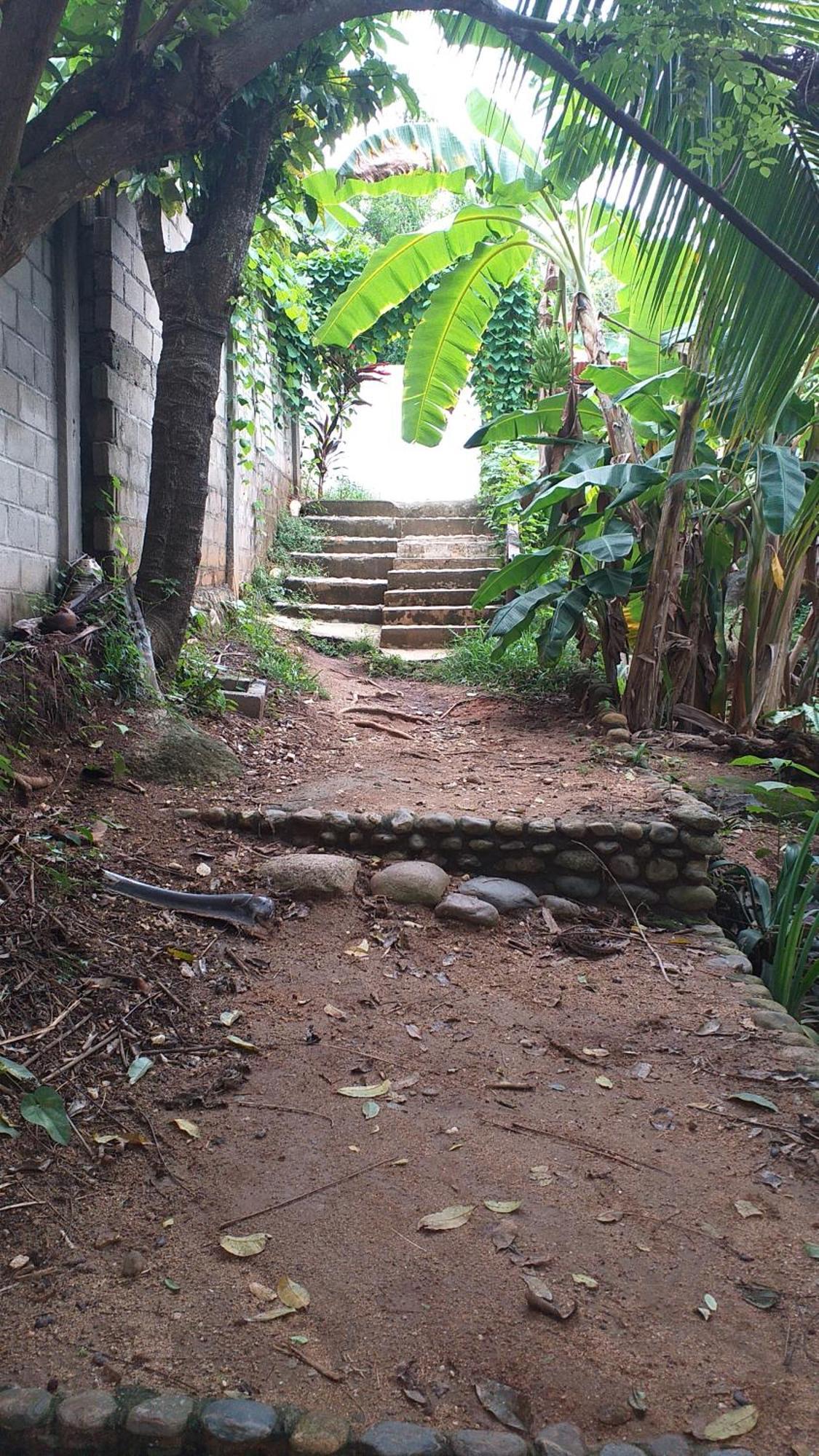 Sierra Tayrona Hostel Ель-Зайно Екстер'єр фото