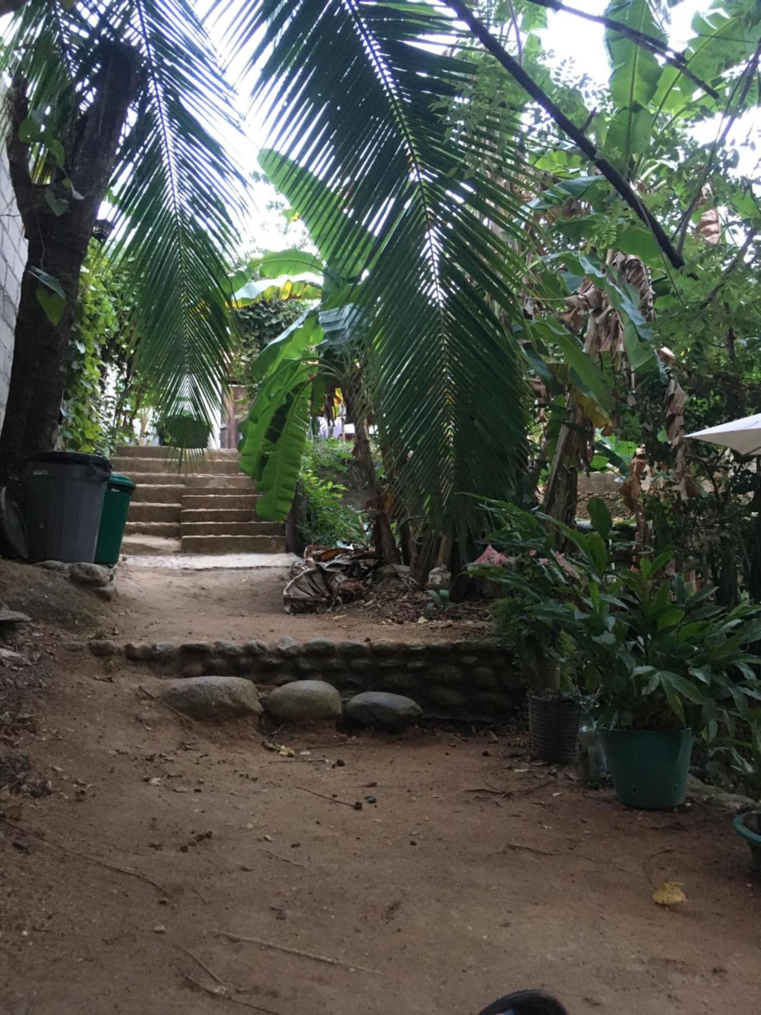 Sierra Tayrona Hostel Ель-Зайно Екстер'єр фото